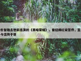 朴智雅去世前出演的《黑暗荣耀》，曾经捧红宋慧乔，至今流传于世