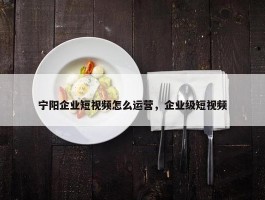 宁阳企业短视频怎么运营，企业级短视频