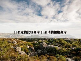 什么宠物比较高冷 什么动物性格高冷