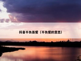 抖音不负吾爱（不负爱的意思）