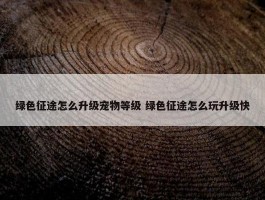 绿色征途怎么升级宠物等级 绿色征途怎么玩升级快