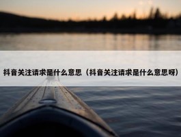 抖音关注请求是什么意思（抖音关注请求是什么意思呀）