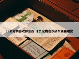 什么宠物喜欢舔东西 什么宠物喜欢舔东西和睡觉