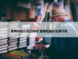 宠物玩具什么比较好 宠物玩具什么牌子好