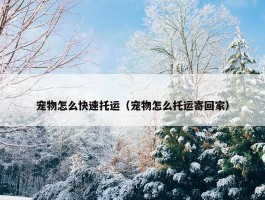 宠物怎么快速托运（宠物怎么托运寄回家）