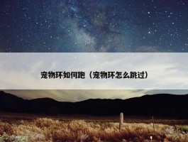 宠物环如何跑（宠物环怎么跳过）