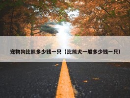 宠物狗比熊多少钱一只（比熊犬一般多少钱一只）