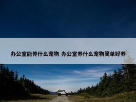 办公室能养什么宠物 办公室养什么宠物简单好养