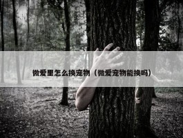 微爱里怎么换宠物（微爱宠物能换吗）