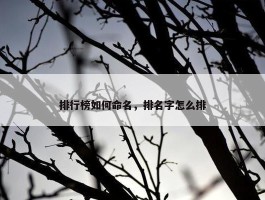 排行榜如何命名，排名字怎么排