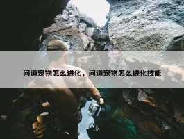 问道宠物怎么进化，问道宠物怎么进化技能