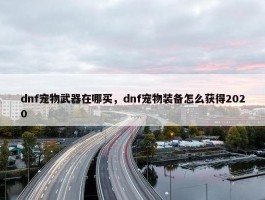 dnf宠物武器在哪买，dnf宠物装备怎么获得2020