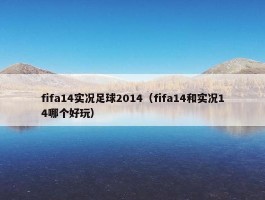 fifa14实况足球2014（fifa14和实况14哪个好玩）