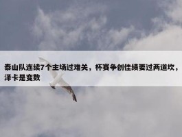 泰山队连续7个主场过难关，杯赛争创佳绩要过两道坎，泽卡是变数