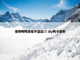 宠物鸭鸭穿尿不湿出门 diy鸭子尿布