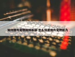 如何提升宠物级别等级 怎么快速提升宠物能力