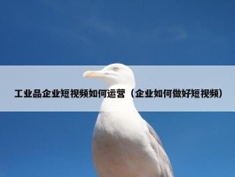 工业品企业短视频如何运营（企业如何做好短视频）