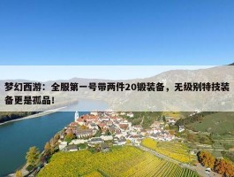 梦幻西游：全服第一号带两件20锻装备，无级别特技装备更是孤品！