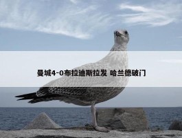 曼城4-0布拉迪斯拉发 哈兰德破门