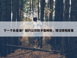 下一个会是谁？纽约公敌联手詹姆斯，硬汉搭档库里