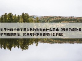 对于养四个蹄子是白色的狗狗有什么忌讳（我学的宠物养护与疾病防治，如果专升本需要考什么科目）