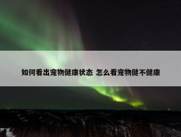 如何看出宠物健康状态 怎么看宠物健不健康