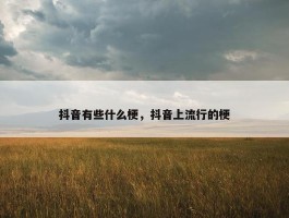 抖音有些什么梗，抖音上流行的梗