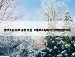 神武4有哪些宠物图鉴（神武4有哪些宠物图鉴好看）