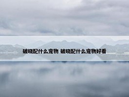 破晓配什么宠物 破晓配什么宠物好看