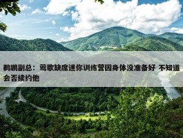 鹈鹕副总：莺歌缺席迷你训练营因身体没准备好 不知道会否续约他