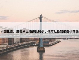 小因扎吉：塔雷米上场还比较少，他可以给我们提供帮助