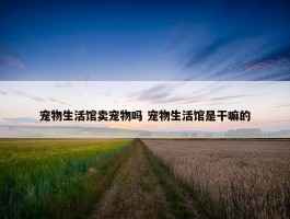 宠物生活馆卖宠物吗 宠物生活馆是干嘛的