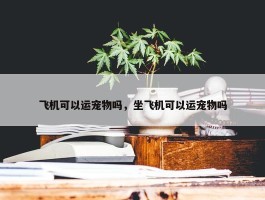 飞机可以运宠物吗，坐飞机可以运宠物吗