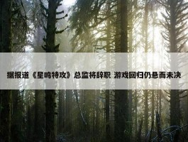 据报道《星鸣特攻》总监将辞职 游戏回归仍悬而未决