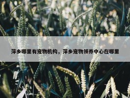 萍乡哪里有宠物机构，萍乡宠物领养中心在哪里