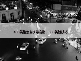 300英雄怎么携带宠物，300英雄技巧