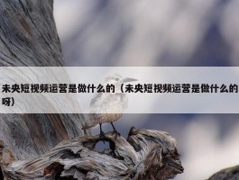 未央短视频运营是做什么的（未央短视频运营是做什么的呀）