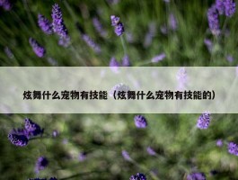 炫舞什么宠物有技能（炫舞什么宠物有技能的）