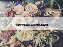 宠物超度款怎么写的简单介绍