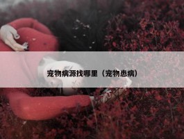 宠物病源找哪里（宠物患病）