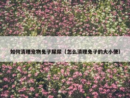 如何清理宠物兔子屎尿（怎么清理兔子的大小便）