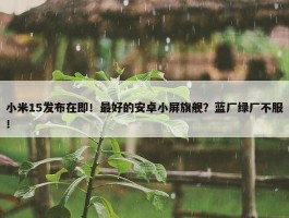 小米15发布在即！最好的安卓小屏旗舰？蓝厂绿厂不服！