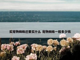 买宠物蜘蛛还要买什么 宠物蜘蛛一般多少钱