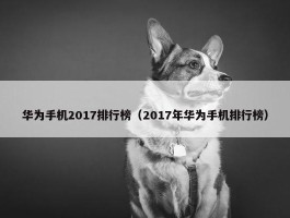 华为手机2017排行榜（2017年华为手机排行榜）