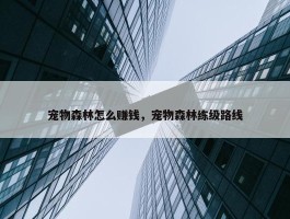 宠物森林怎么赚钱，宠物森林练级路线