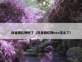 抖音西红柿咋了（抖音西红柿ovo怎么了）