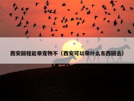 西安回程能带宠物不（西安可以带什么东西回去）