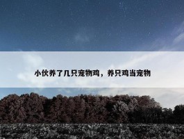 小伙养了几只宠物鸡，养只鸡当宠物