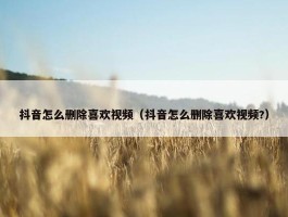 抖音怎么删除喜欢视频（抖音怎么删除喜欢视频?）