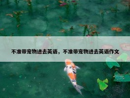 不准带宠物进去英语，不准带宠物进去英语作文